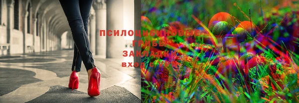 амф Нефтегорск