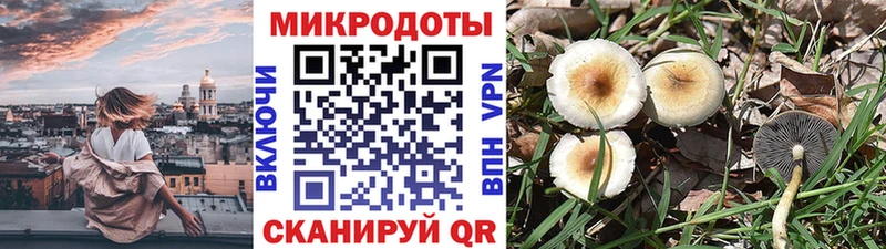 Галлюциногенные грибы мицелий  Сарапул 